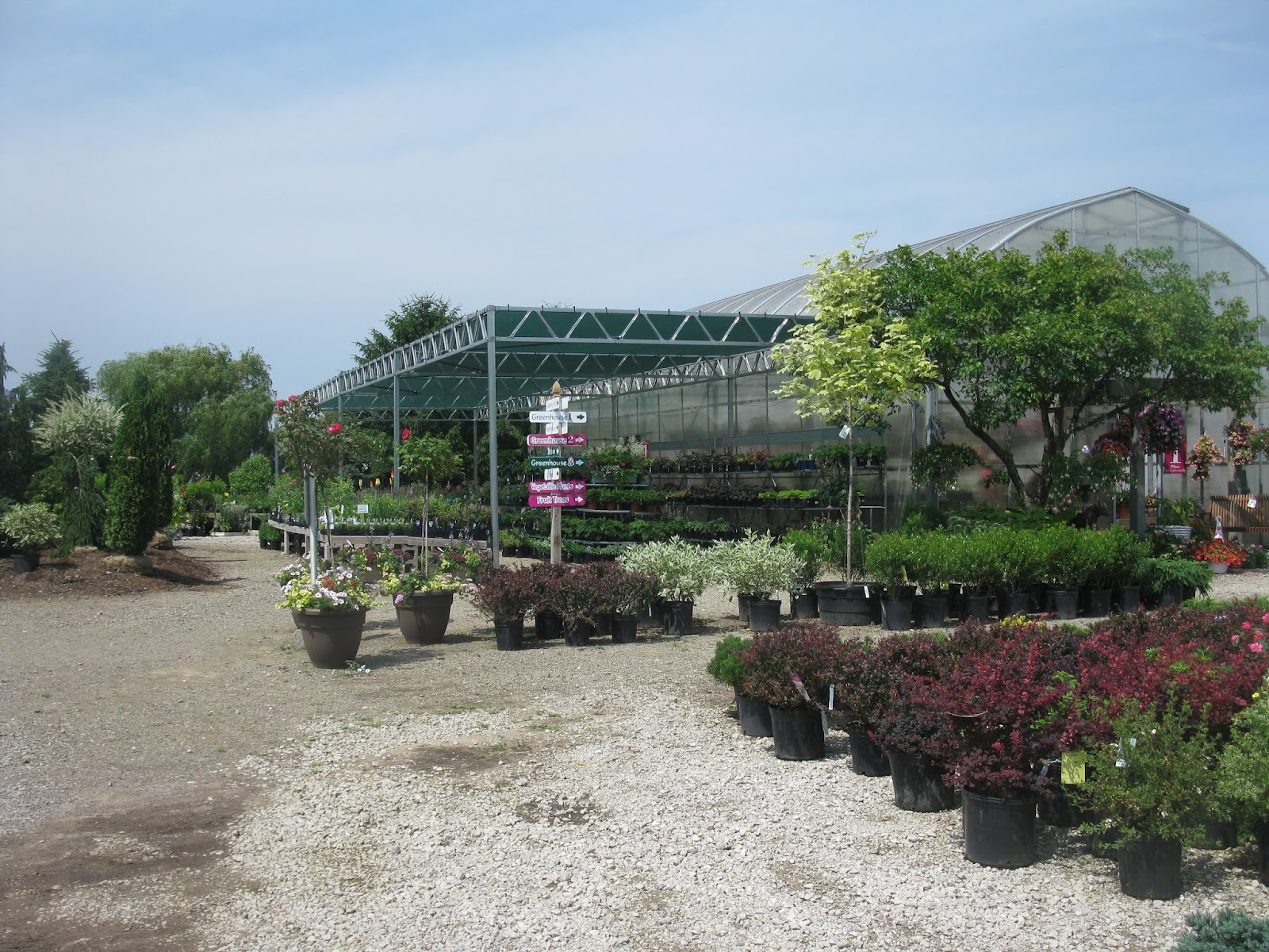 Scotland Yards Greenhouse, Inc.