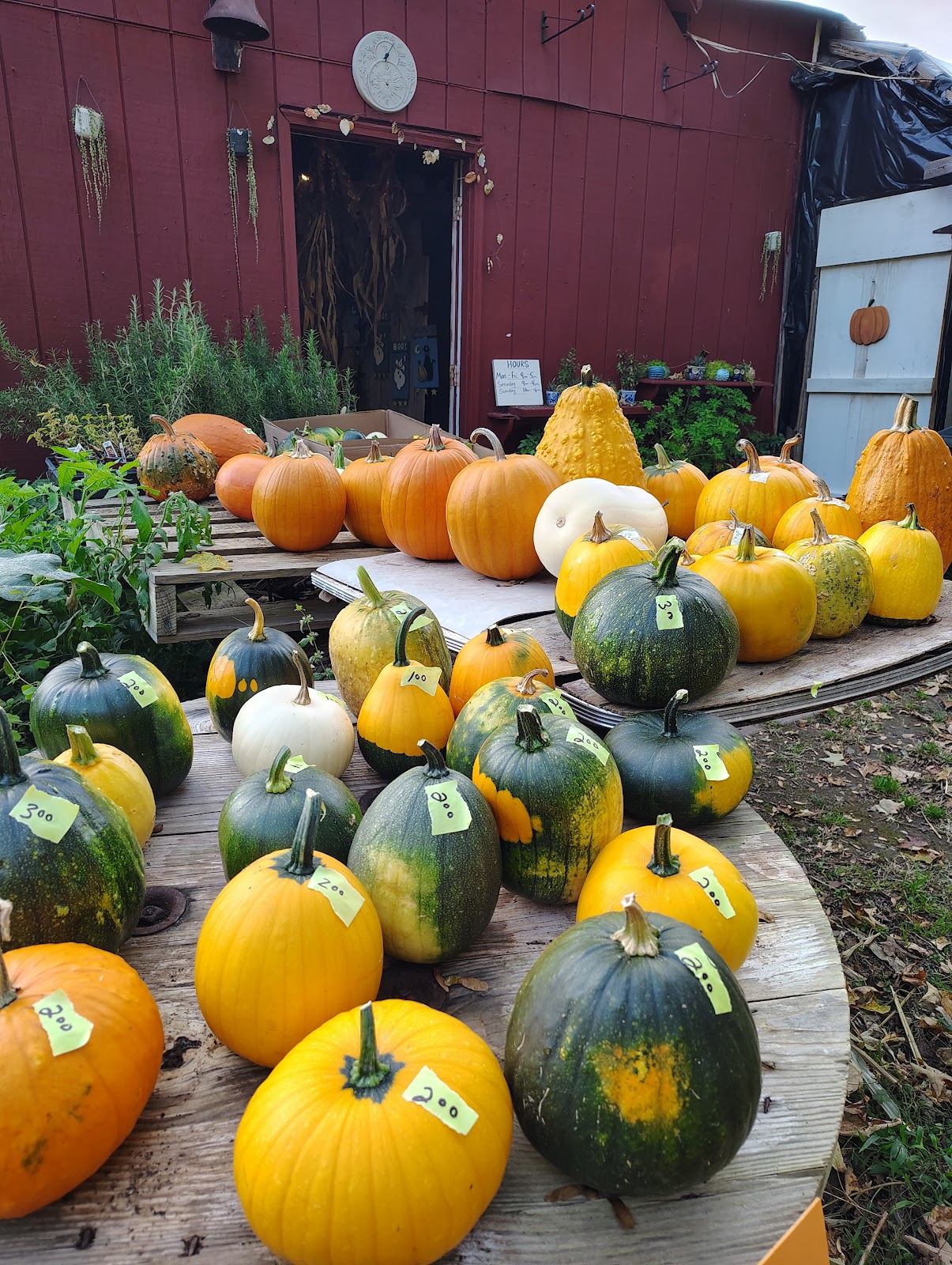 Seasons Greenhouses & Gifts