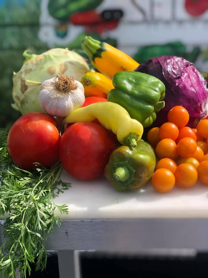 Seton Harvest