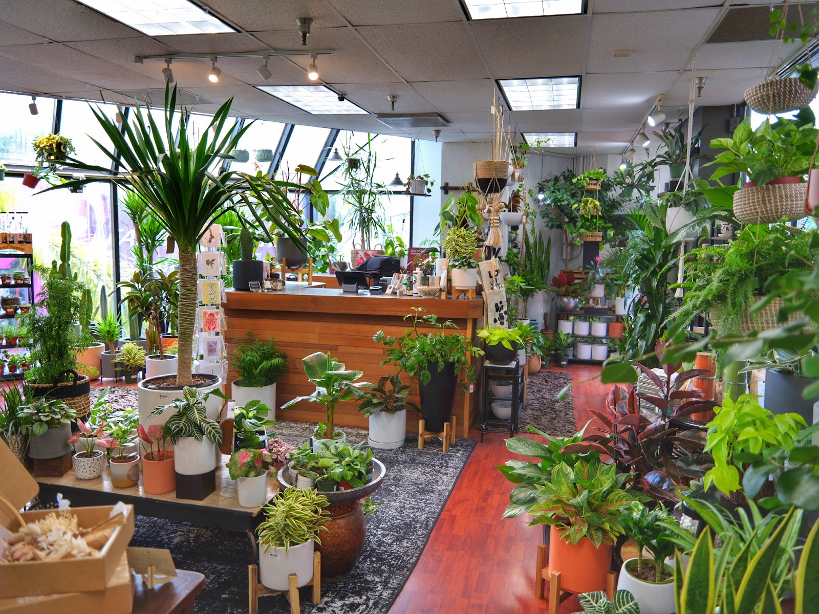 SF Plants