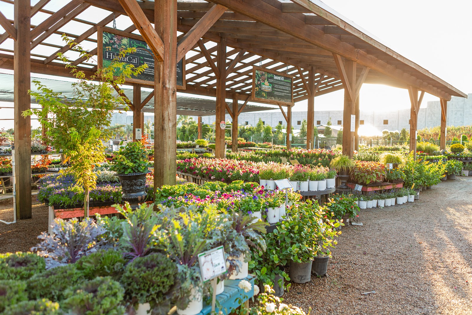 Shades of Texas Wholesale Nursery
