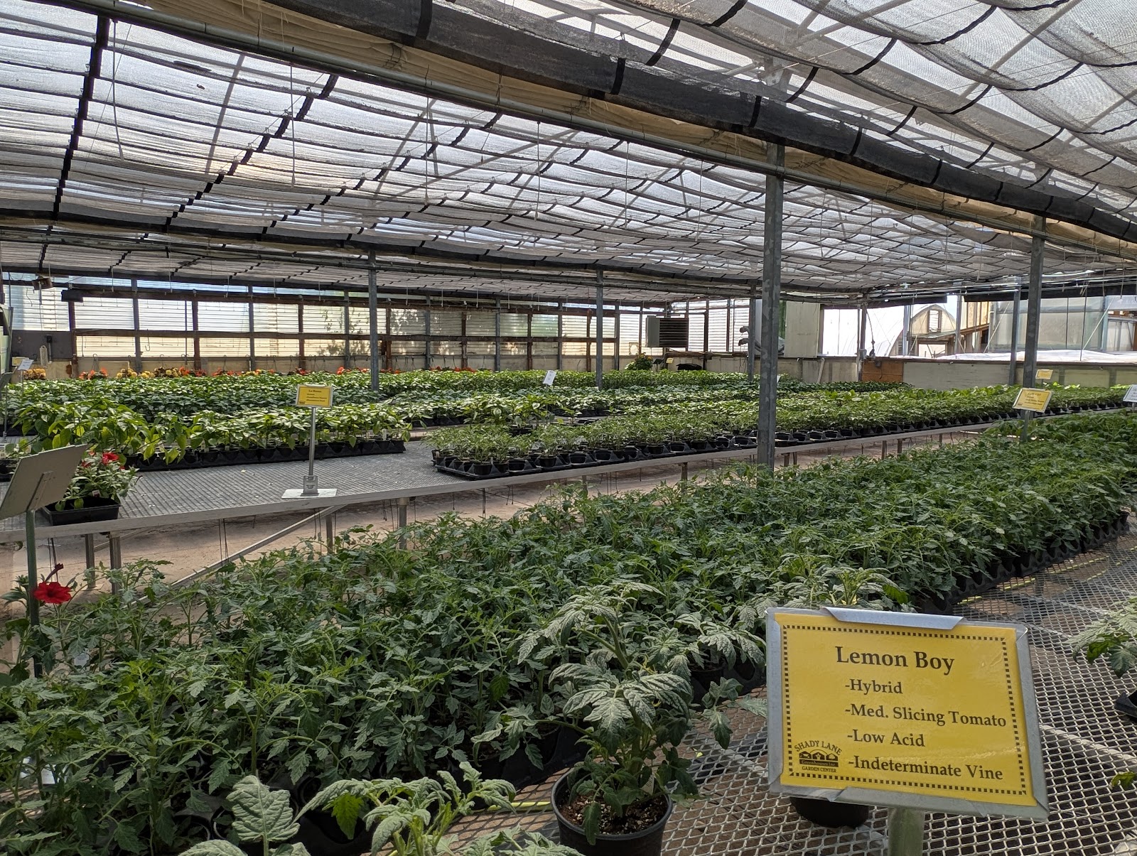 Shady Lane Greenhouses Inc