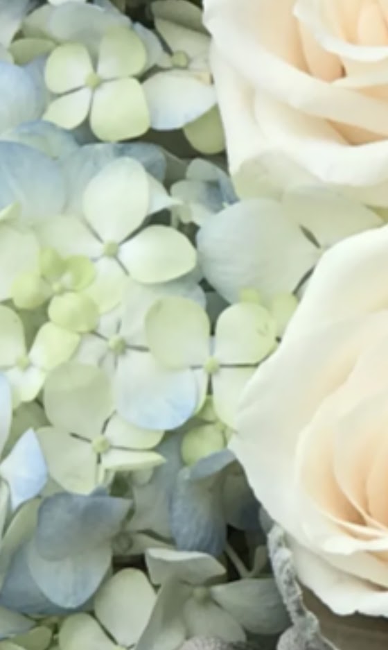 Shelton's Flowers & Gifts