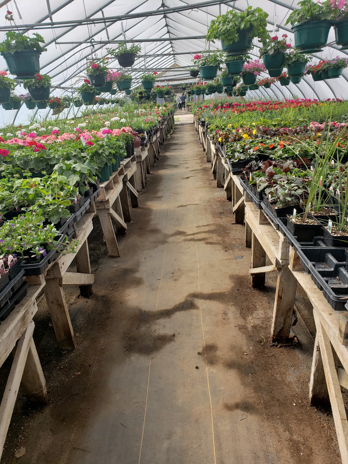 Sheyenne Gardens