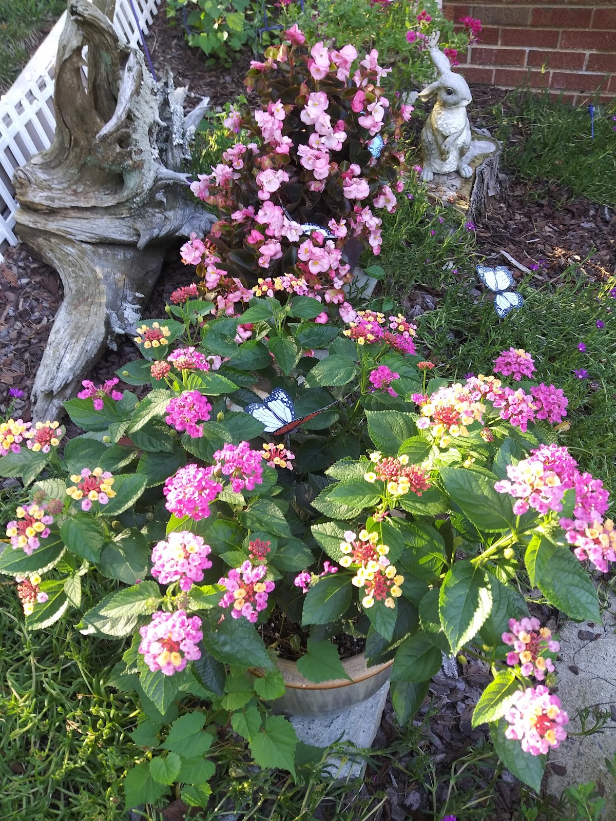 Shouse Nursery