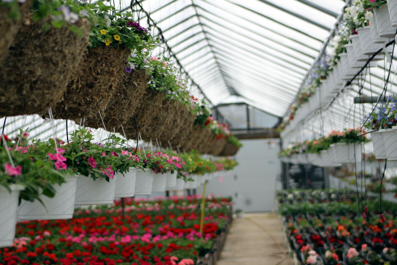 Simon's Greenhouses