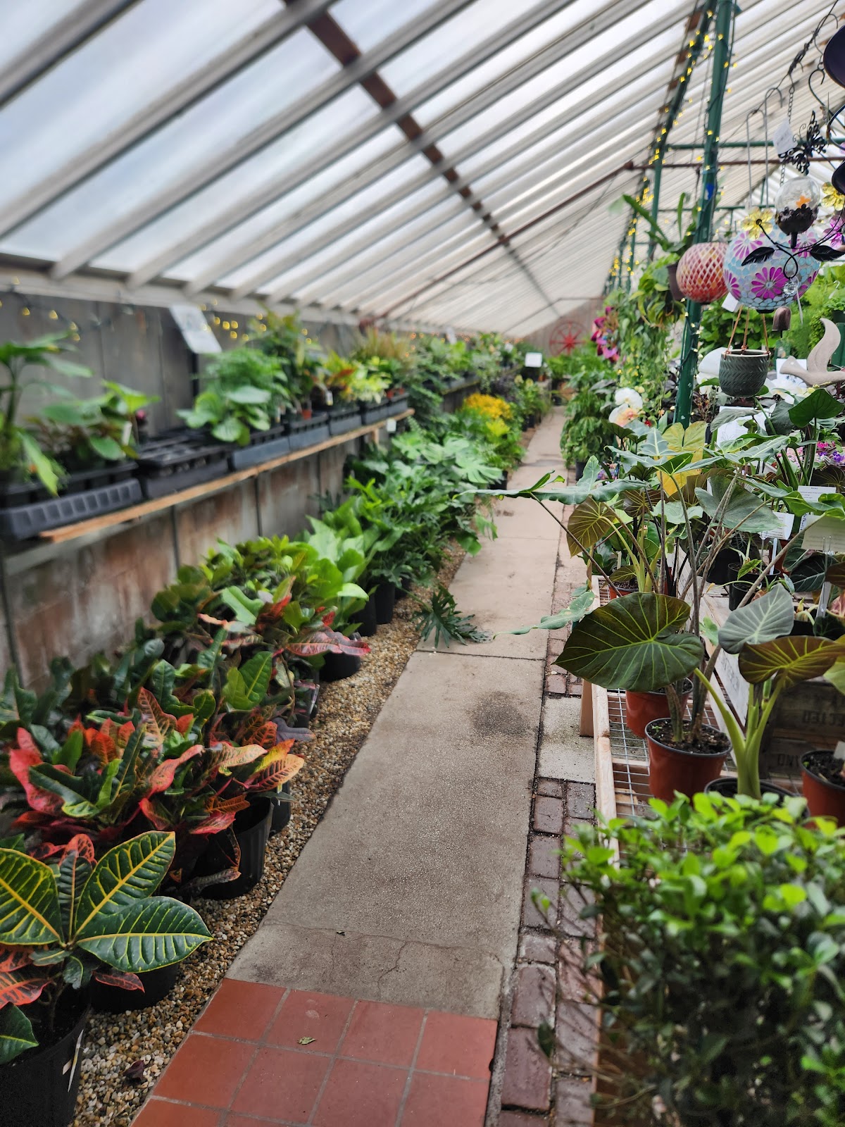 Skillins Greenhouses