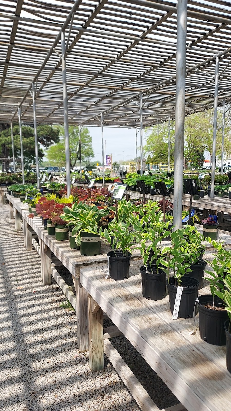 Skinner Garden Store Inc.