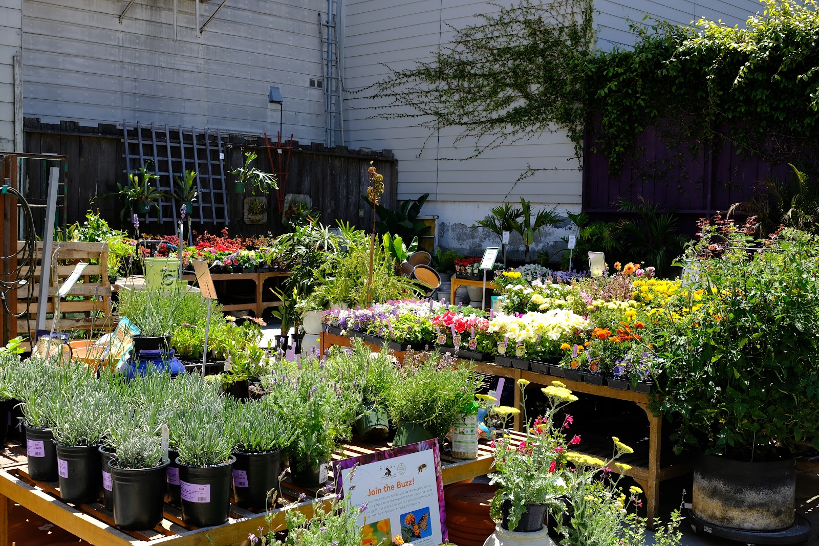 Sloat Garden Center