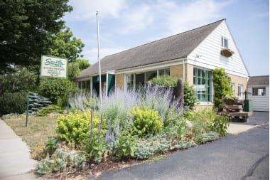 Smith Green Plants