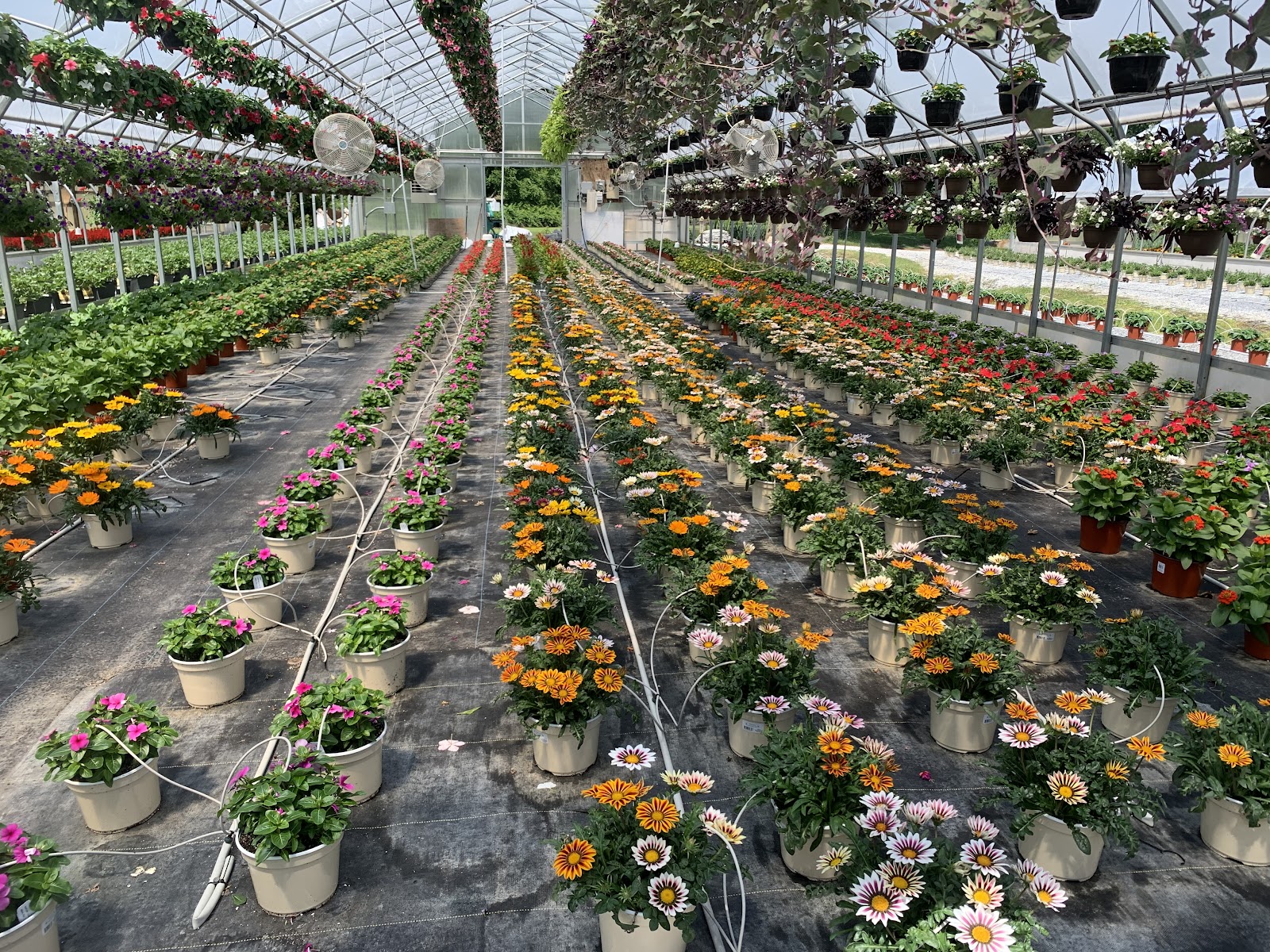 Snell's Greenhouses