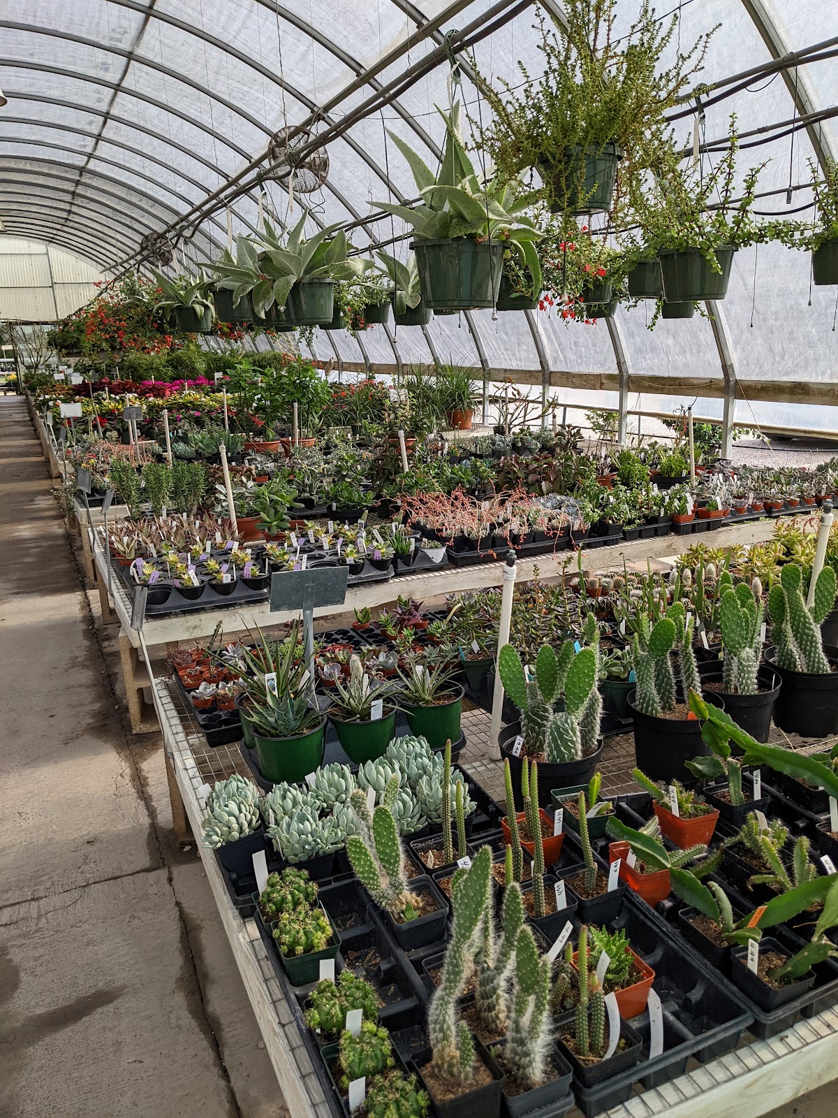 Snooper’s Nursery & Garden Center