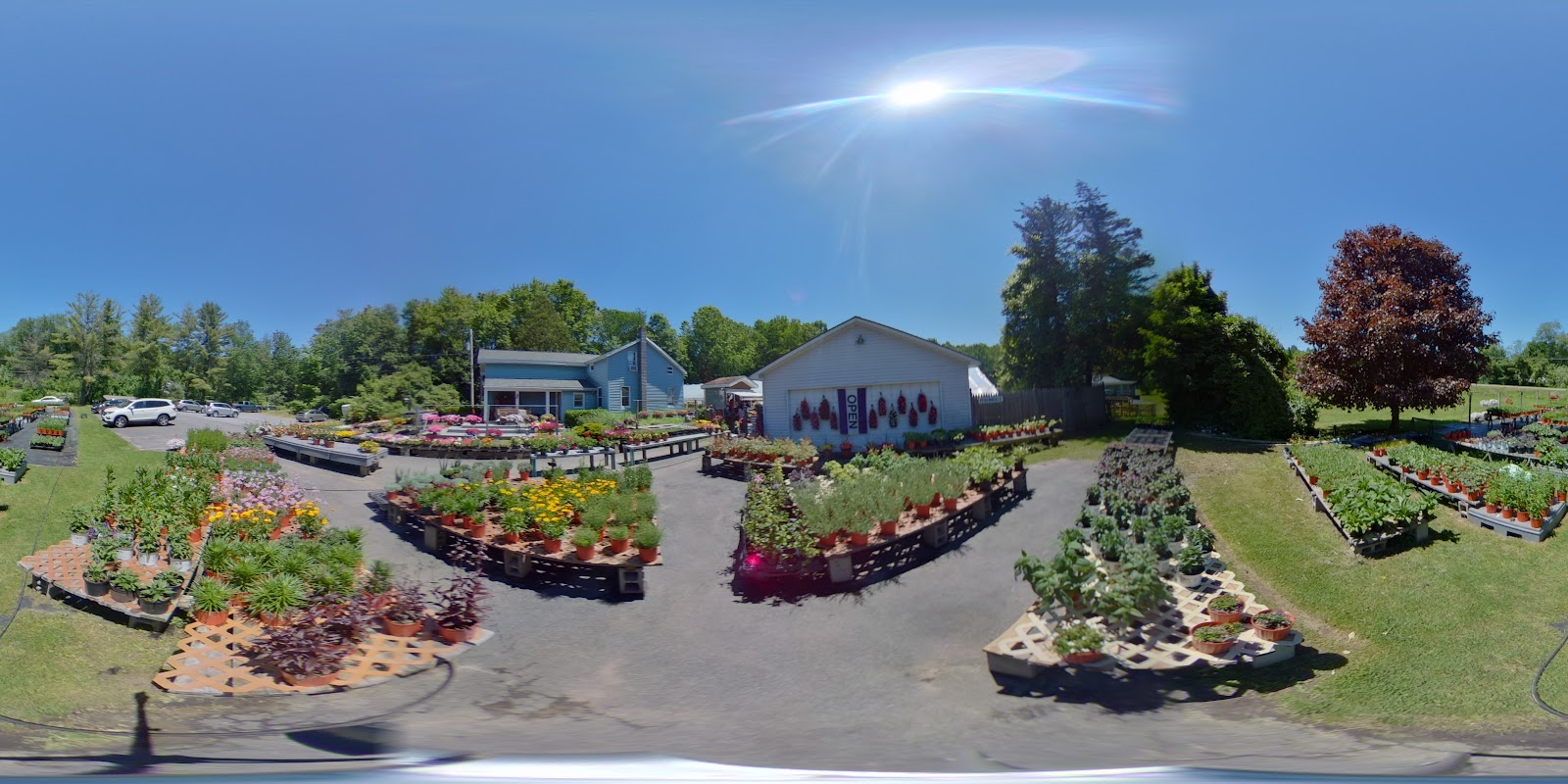 Sokolowski's Greenhouses