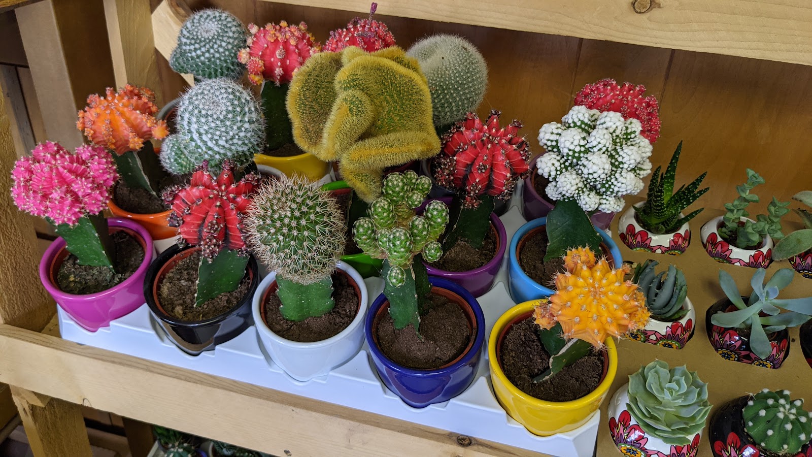 Sorensen Greenhouses of Ca