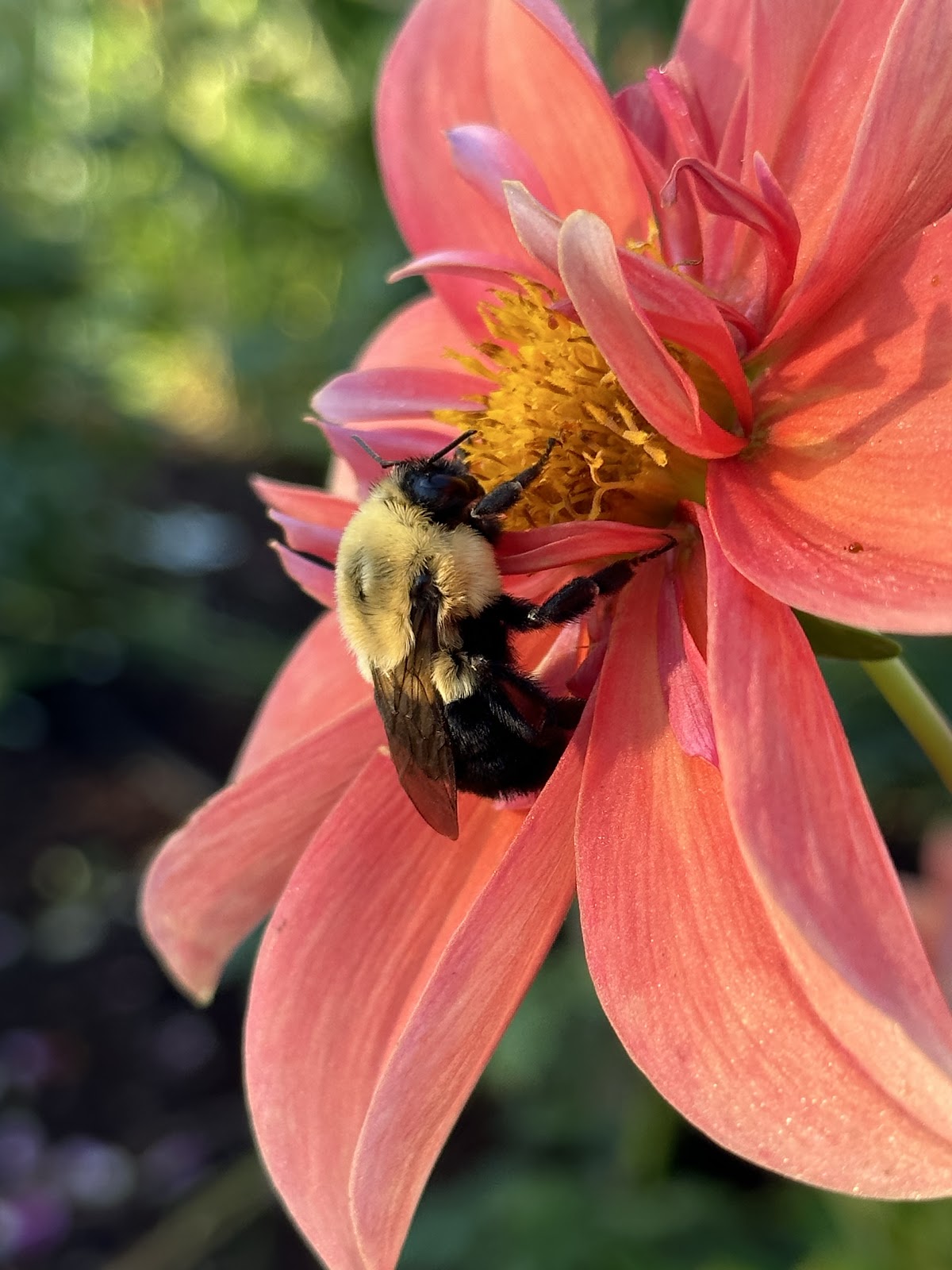 Sound Horticulture