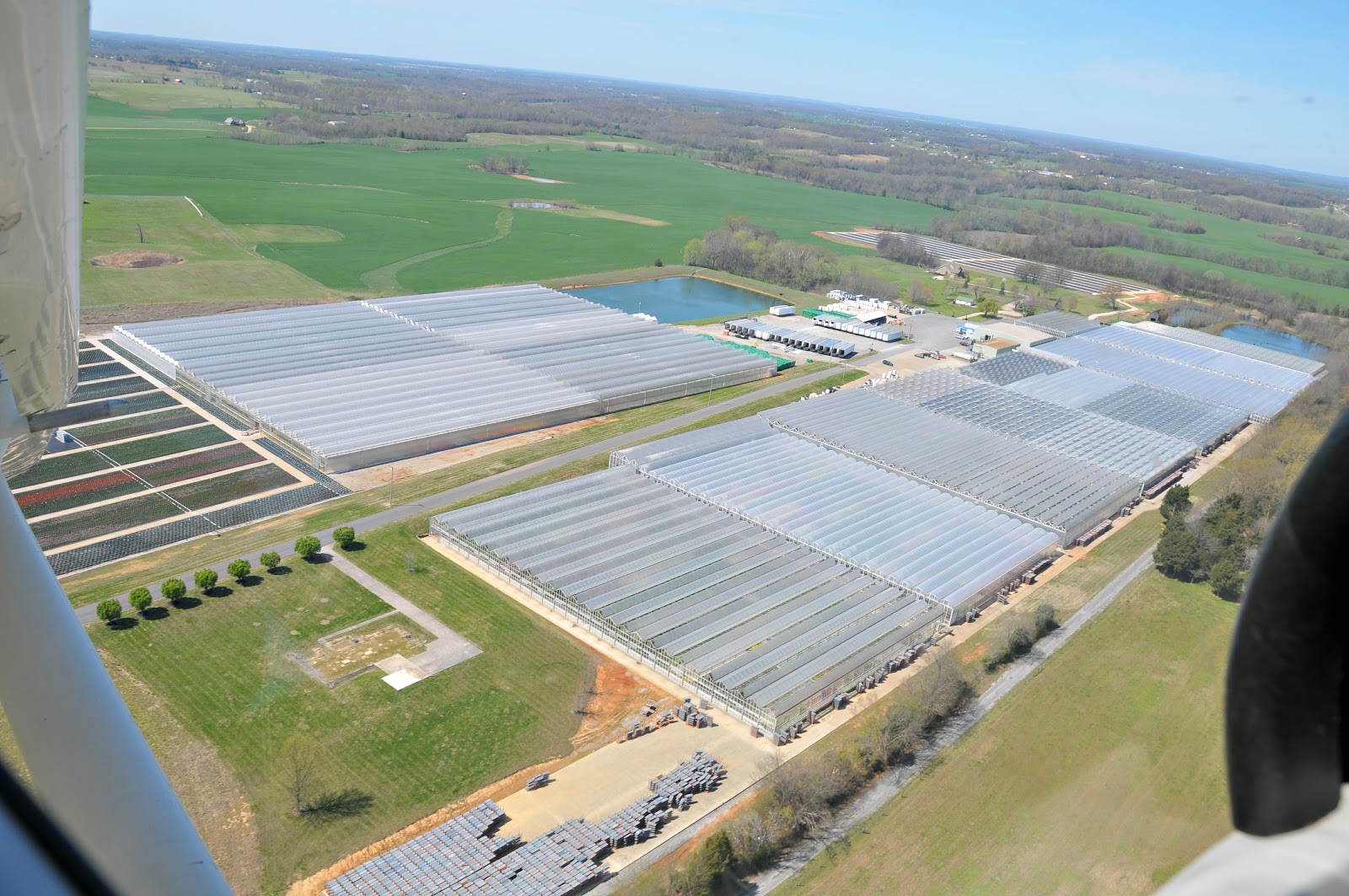South Central Growers