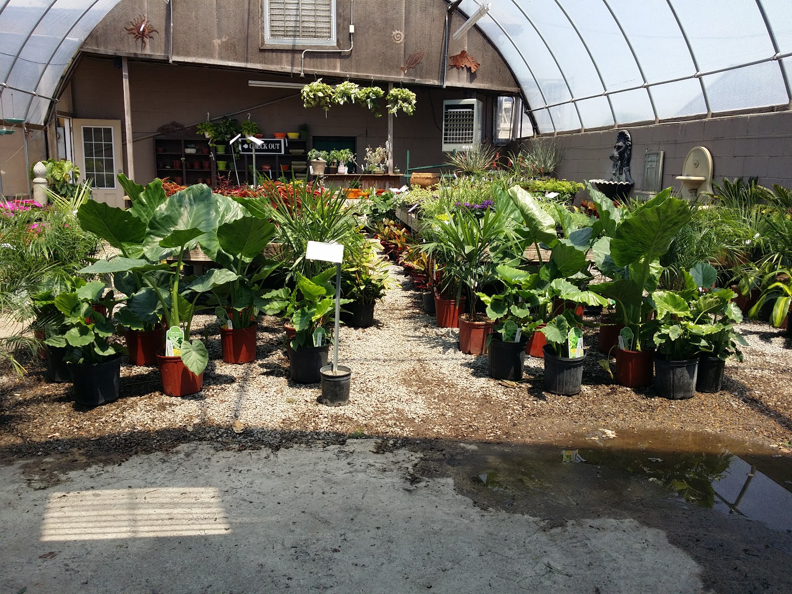 Southbranch Nursery
