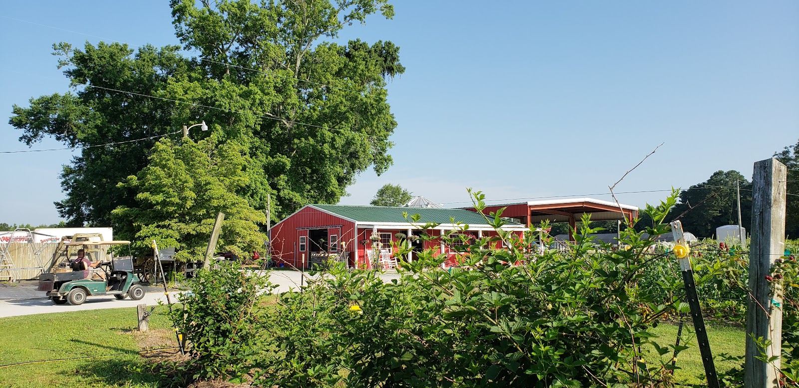 Southside Farms