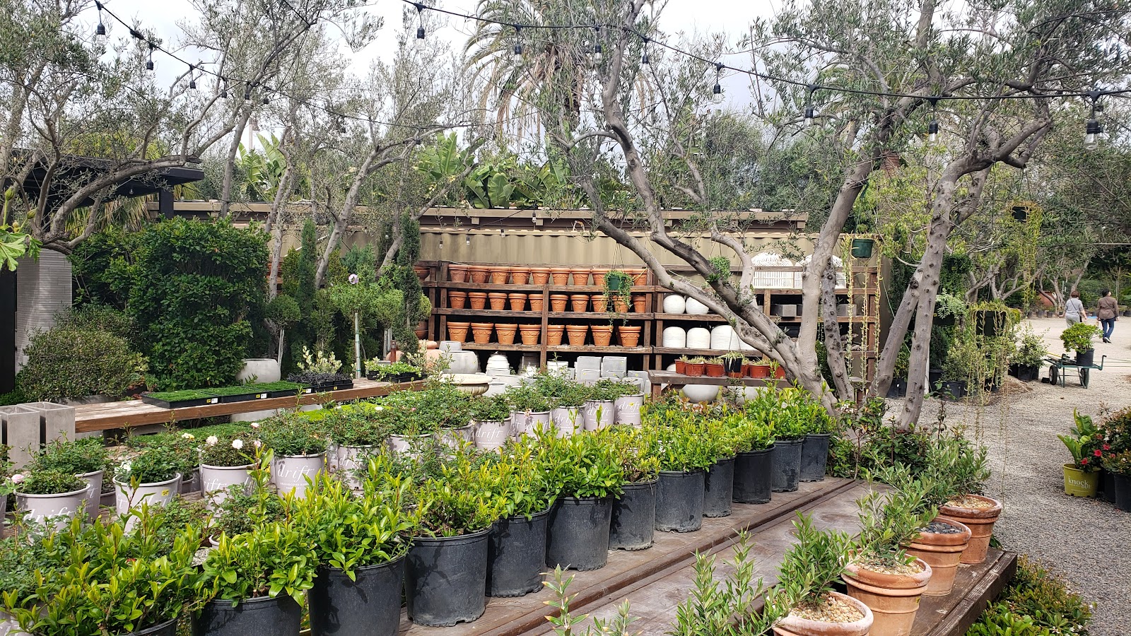 Southwinds Farm and Gardens