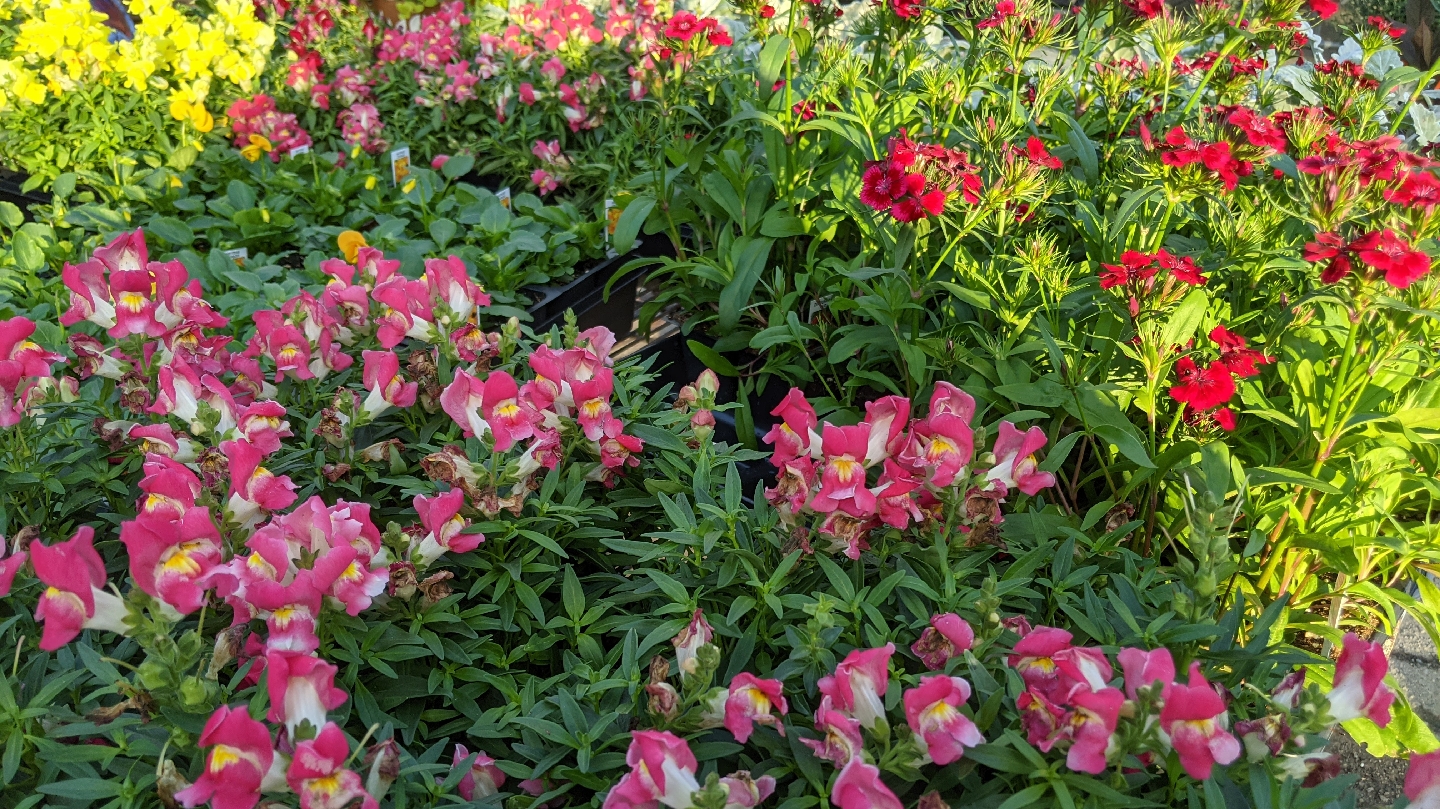 Soviero's Tri-County Garden Center & Feed
