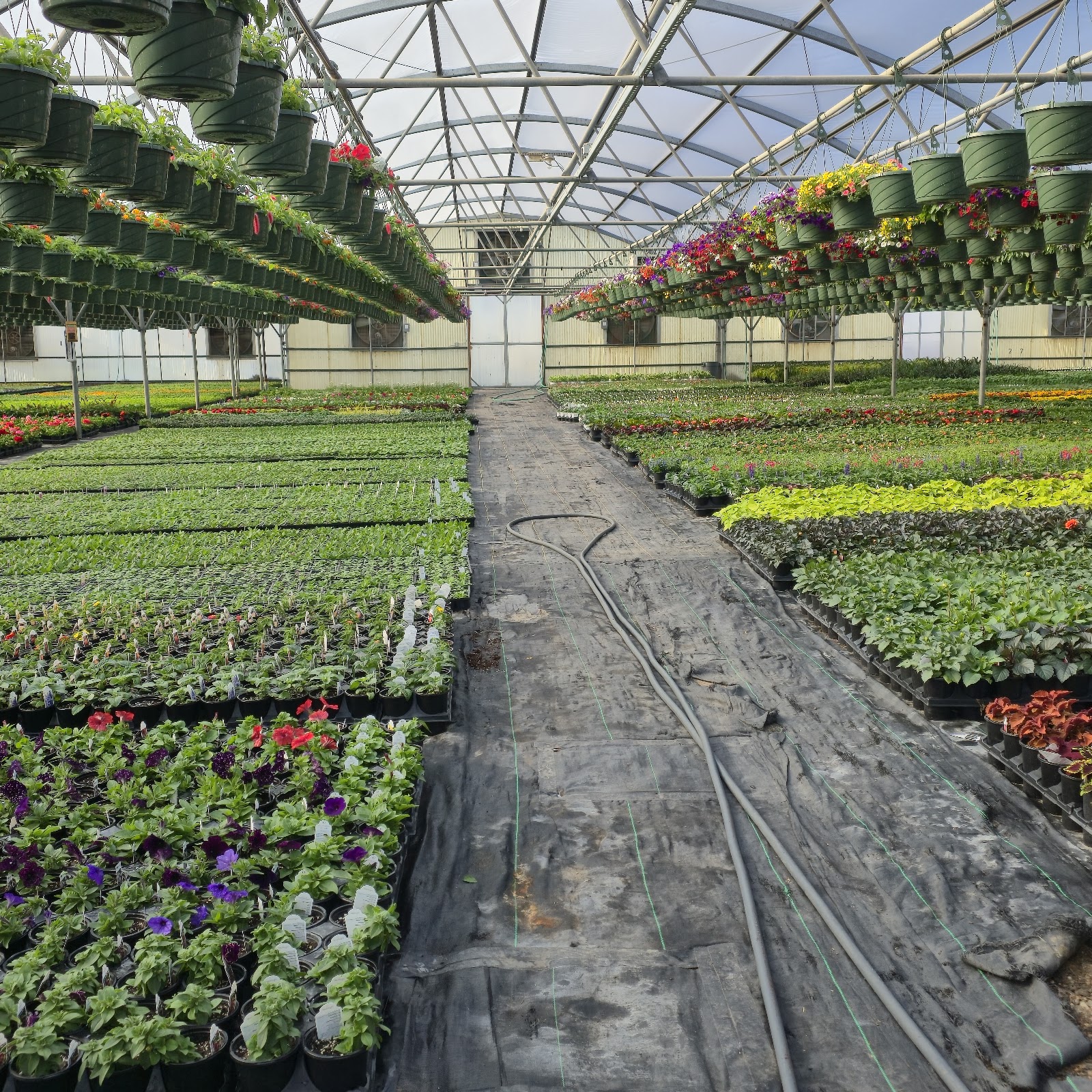 Spano Greenhouse & Farm