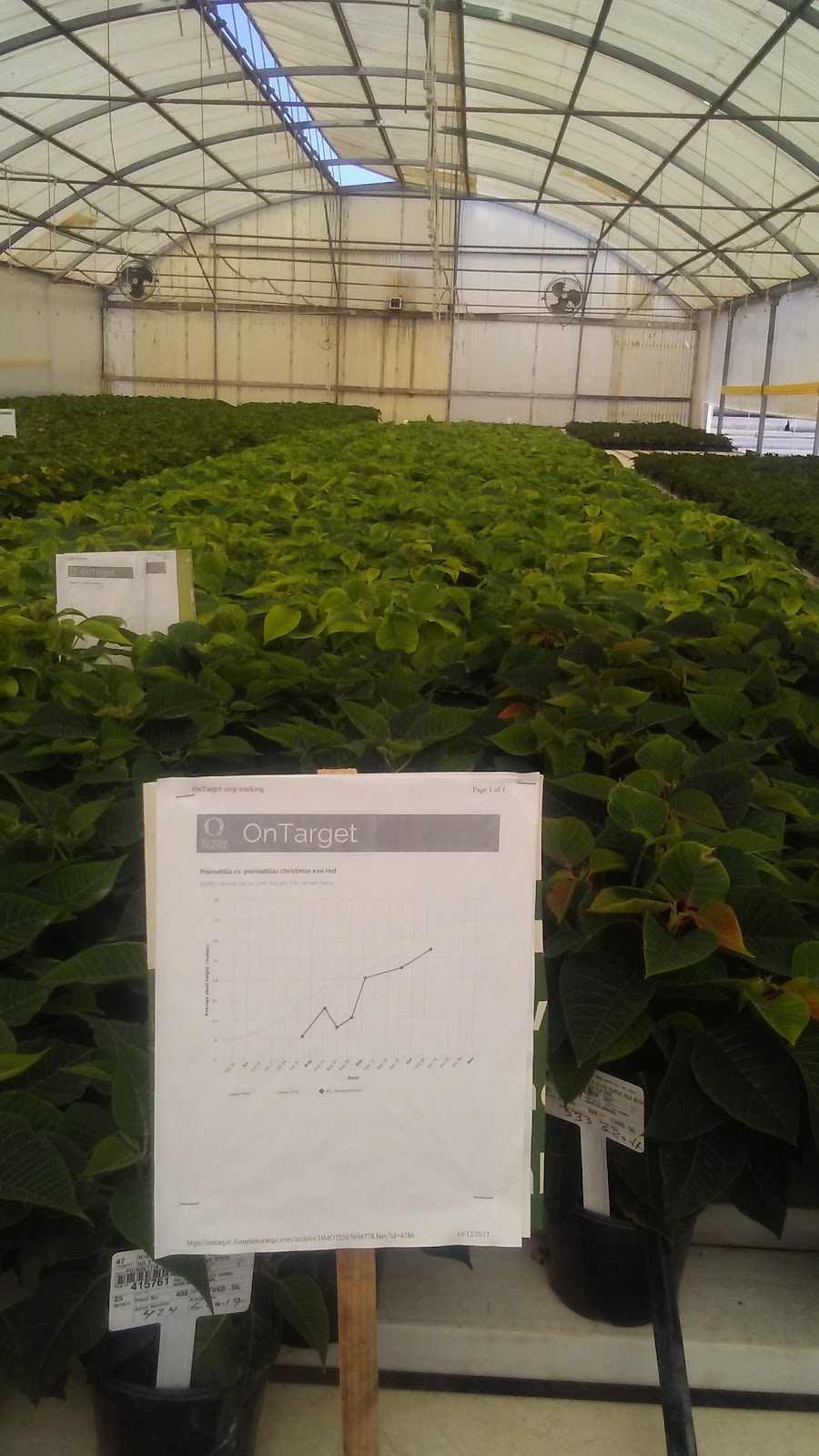 Spence Greenhouses