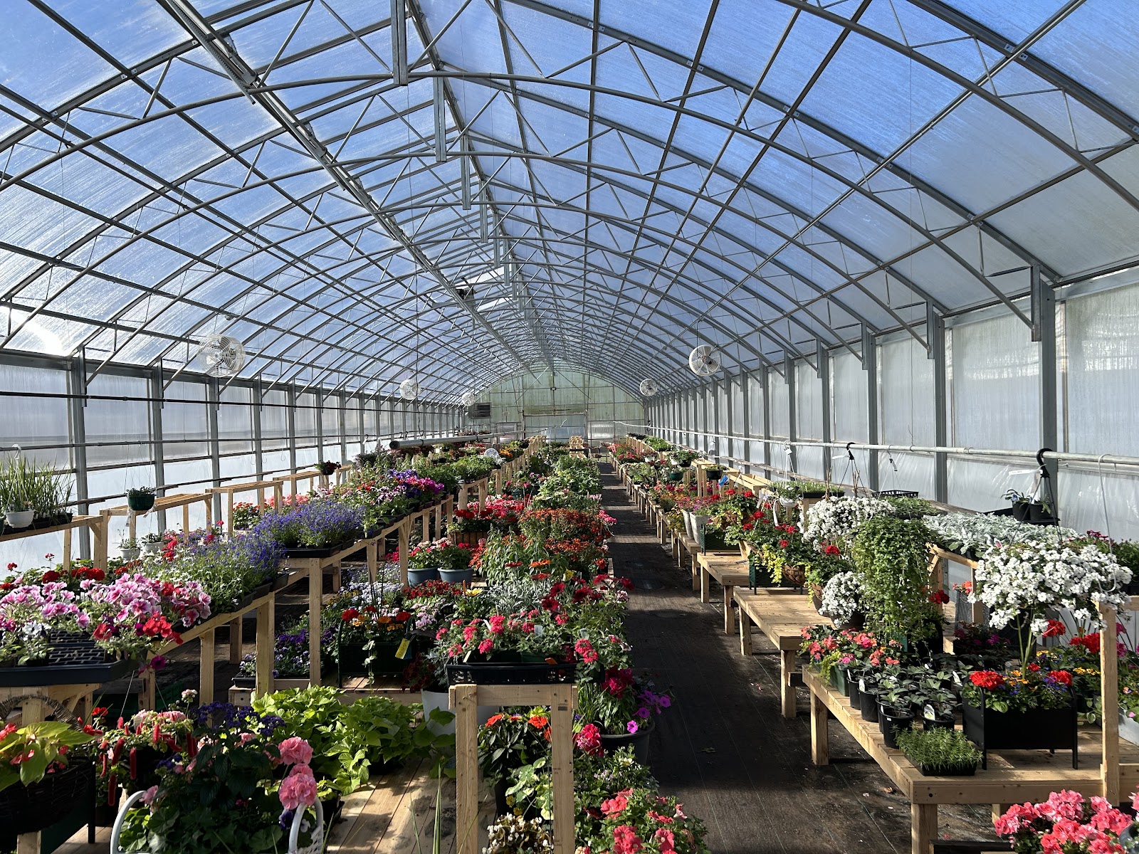 Spring At Last Greenhouse