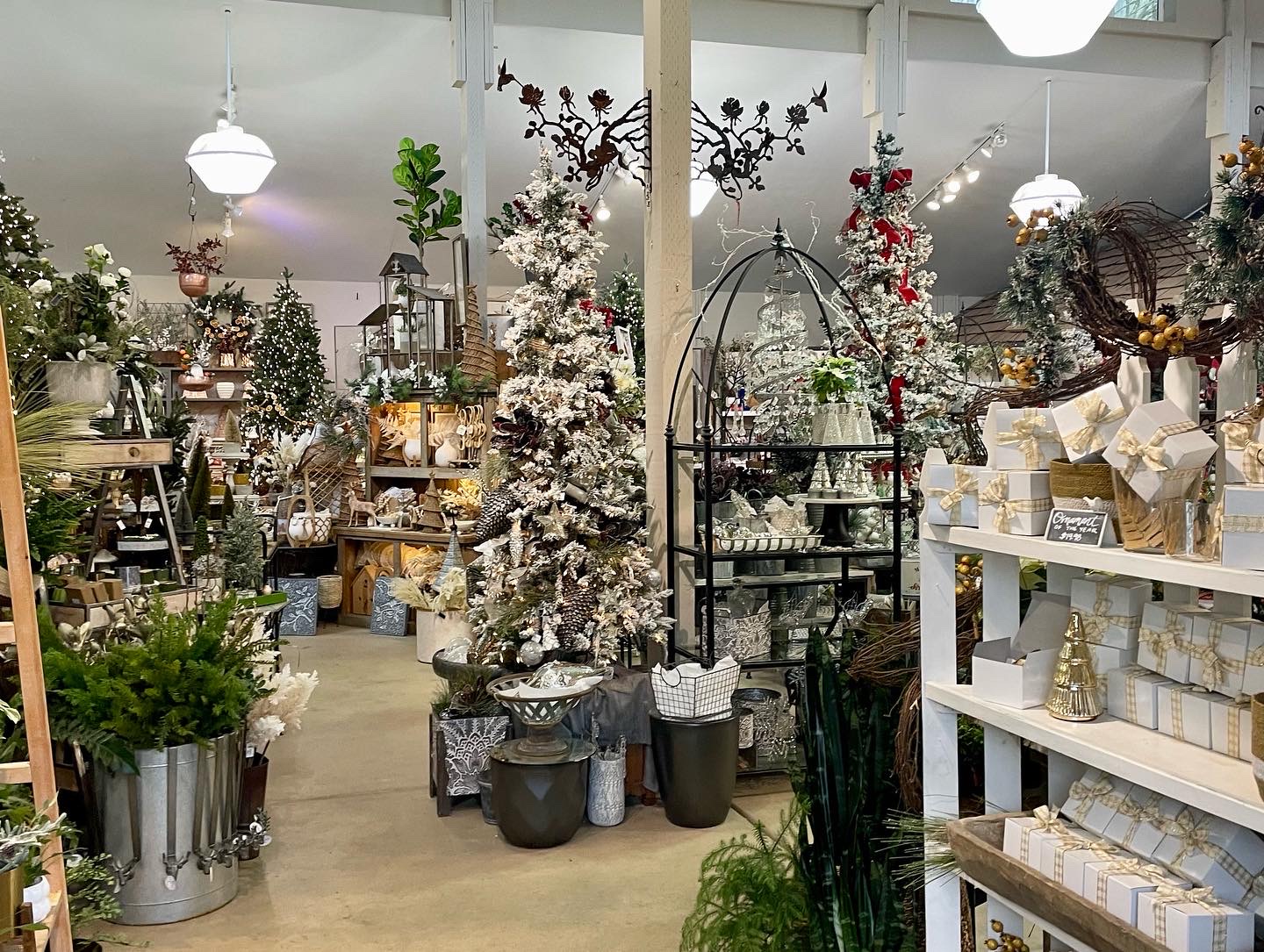 Squak Mt Greenhouses & Nursery