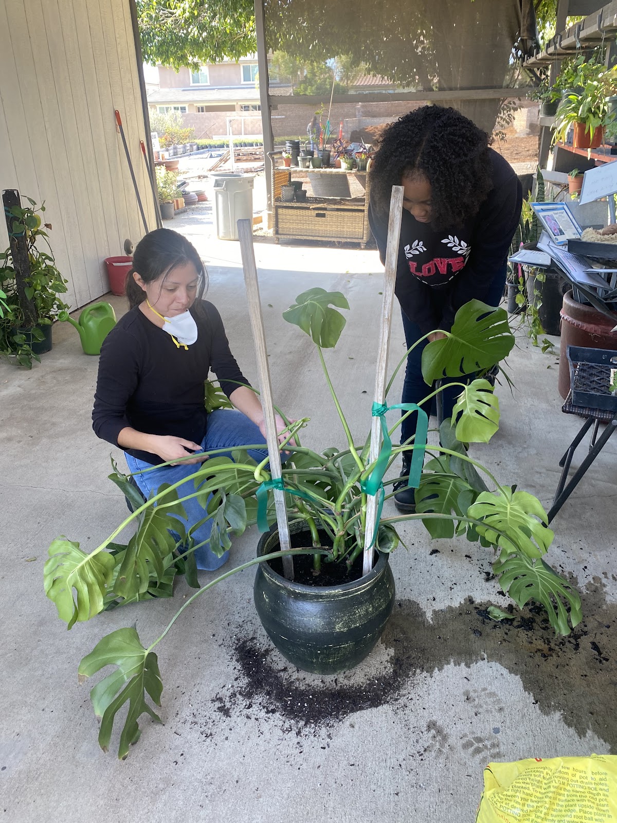 Standard Design Group Nursery Partnership with Highland Garden Center