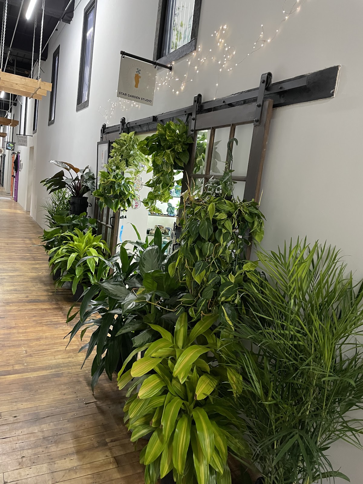Star Garden Studio