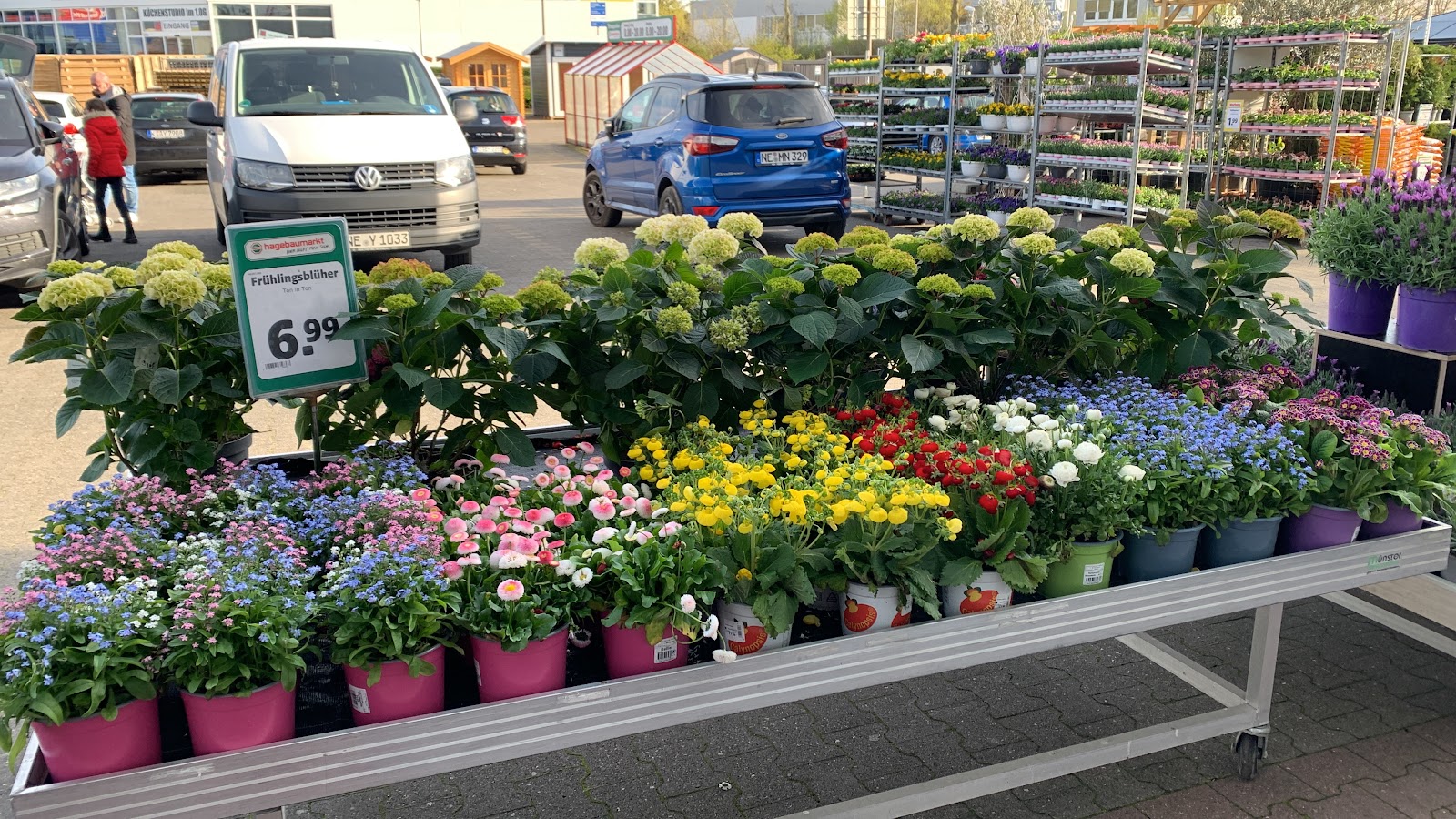 Stein's Garden & Home