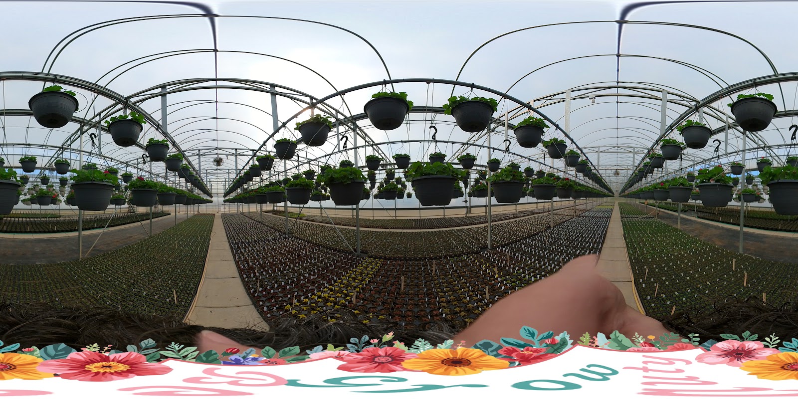 Stockslagers Greenhouse and Garden Center
