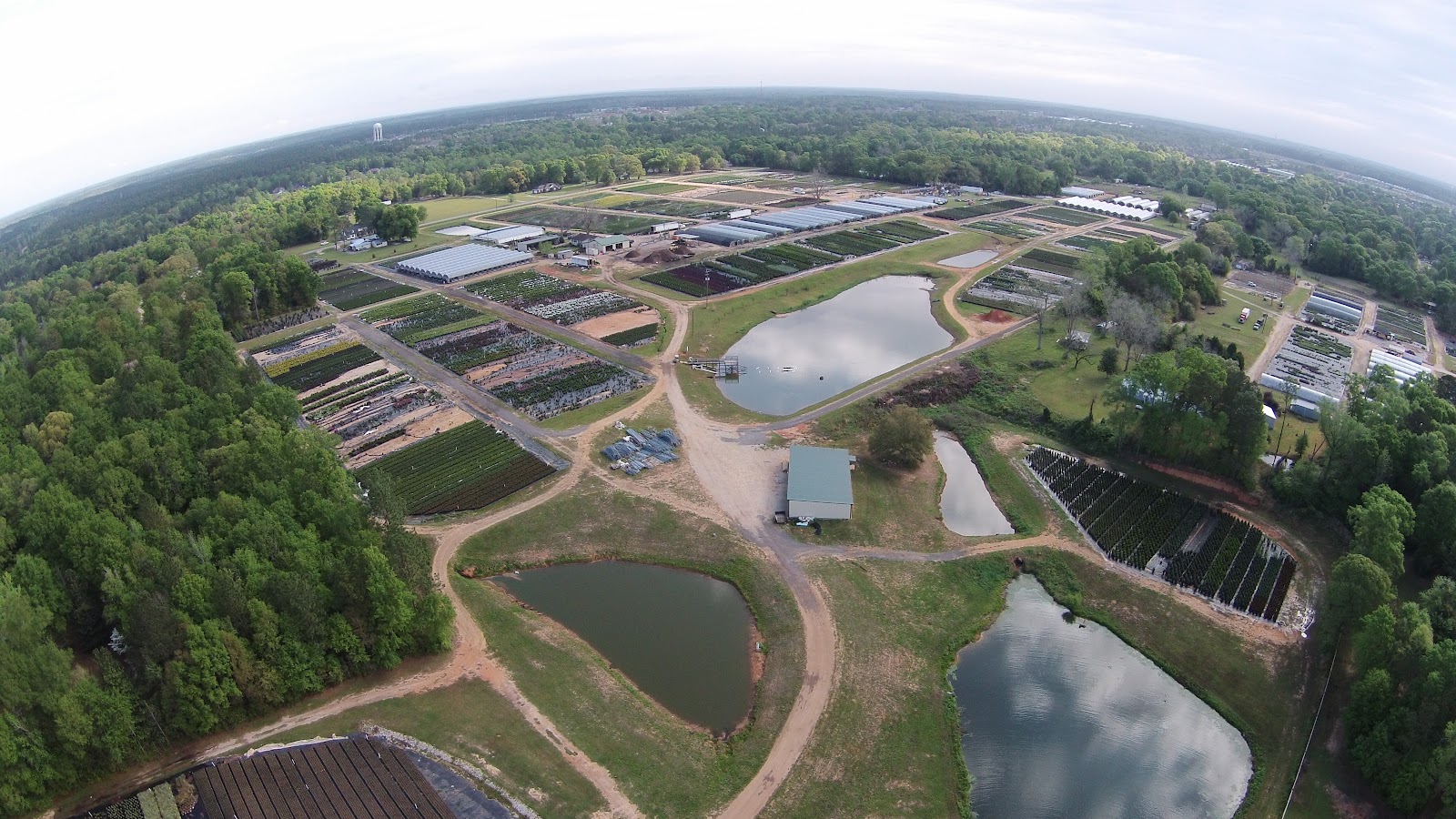 Stokley Nursery