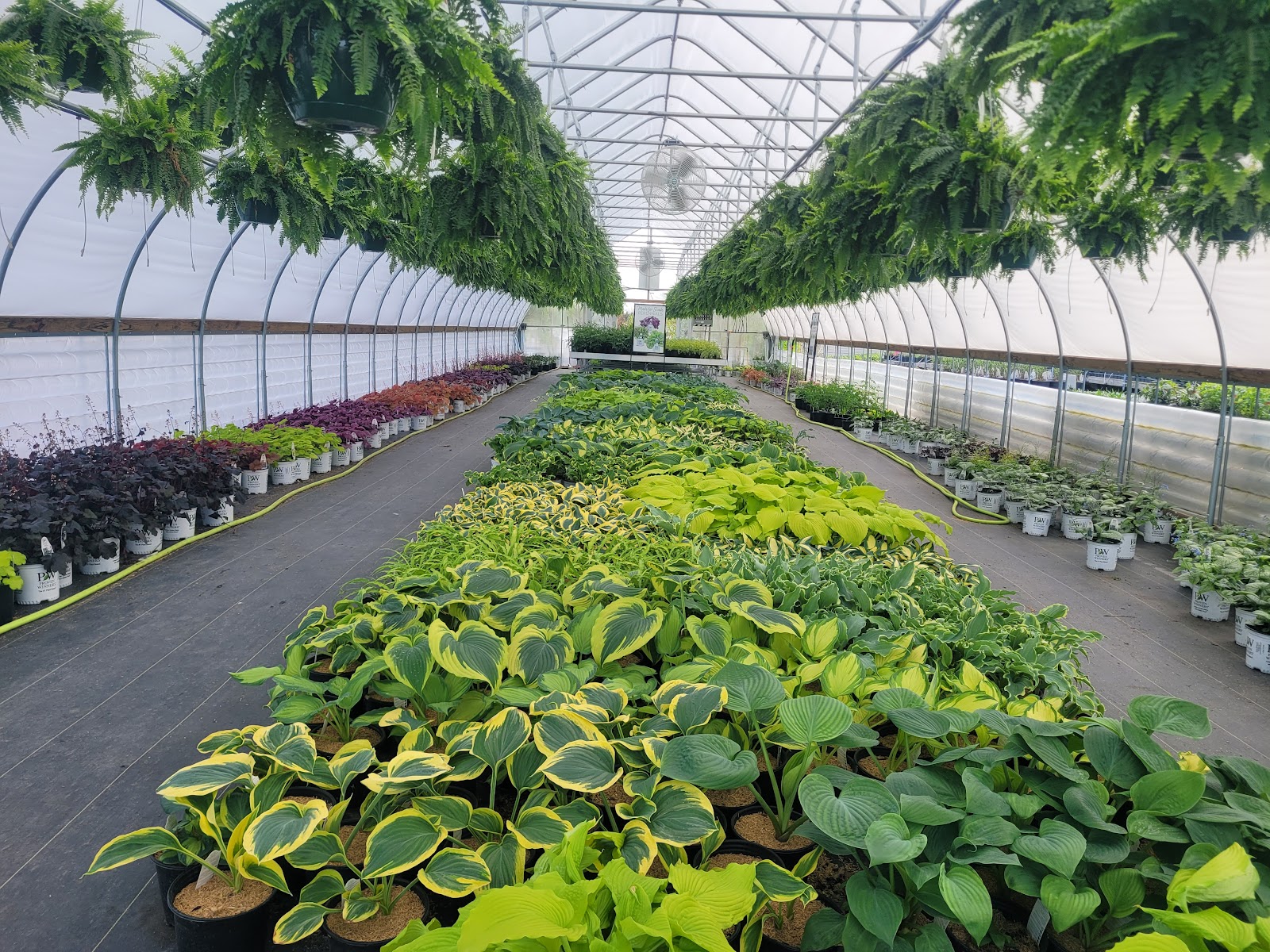 Strait Gate Greenhouses