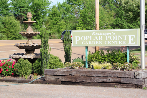 Stringer's Poplar Pointe Garden Center
