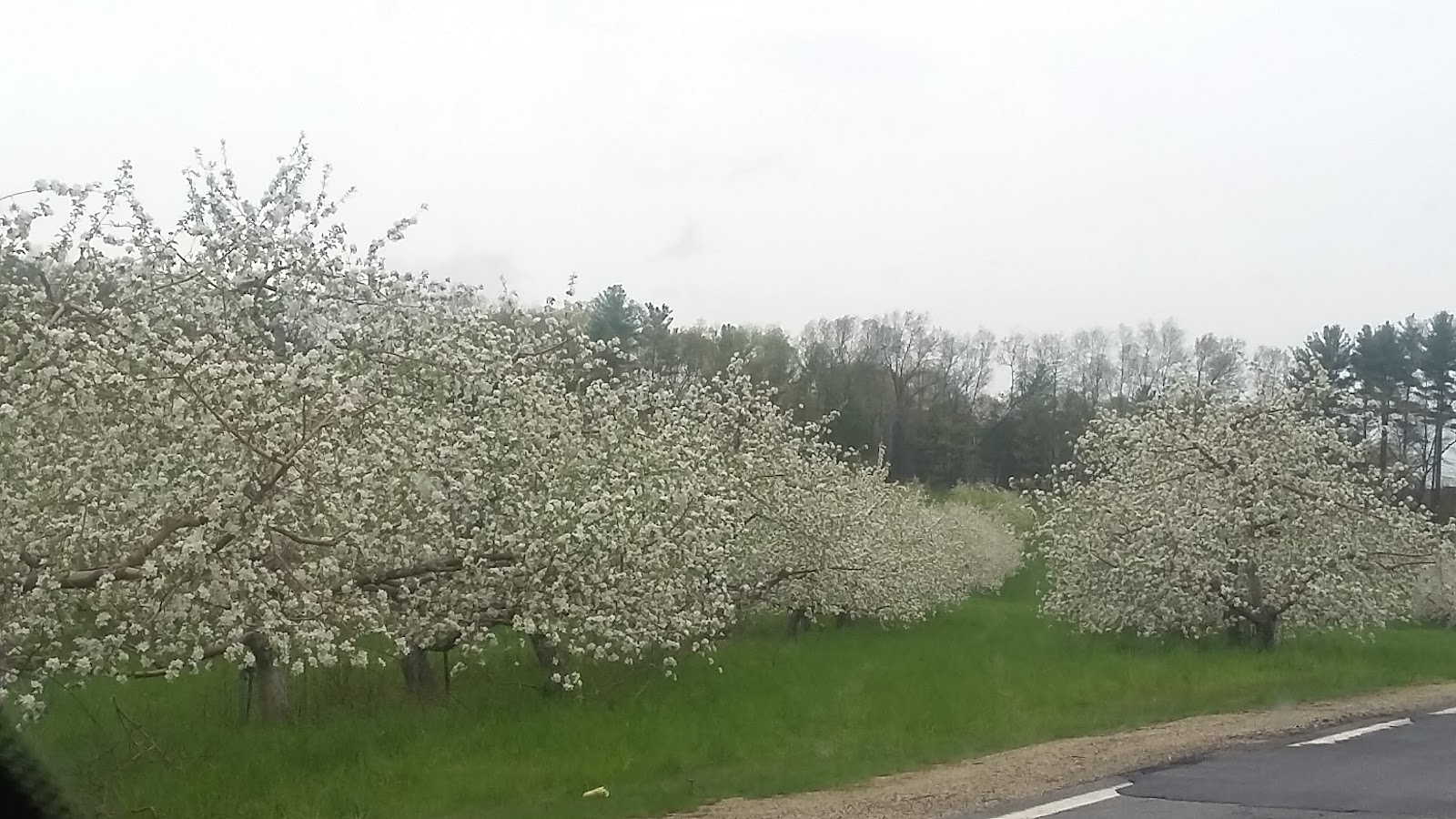 Sullivan Greenhouse & Orchard