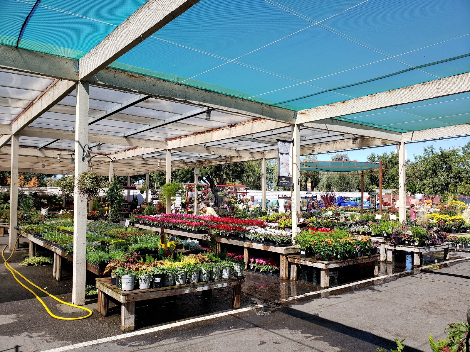 SummerWinds Nursery