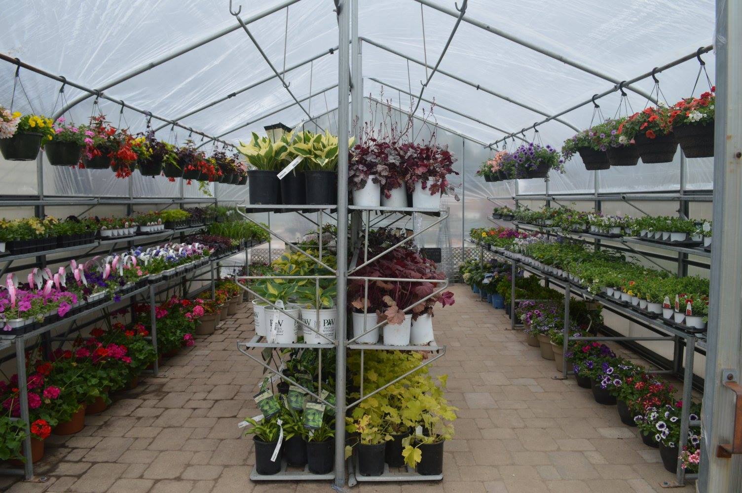Sun and Shade Garden Center, Inc