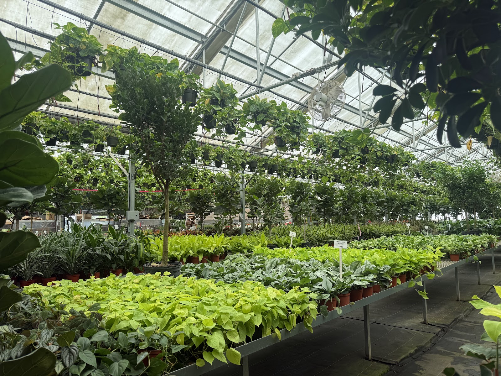 Sunborne Nursery