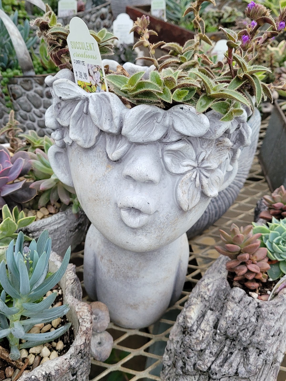 Sunrise Greenhouse LLC.