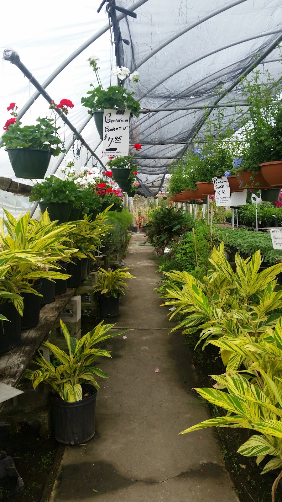 Sunshine Plant House