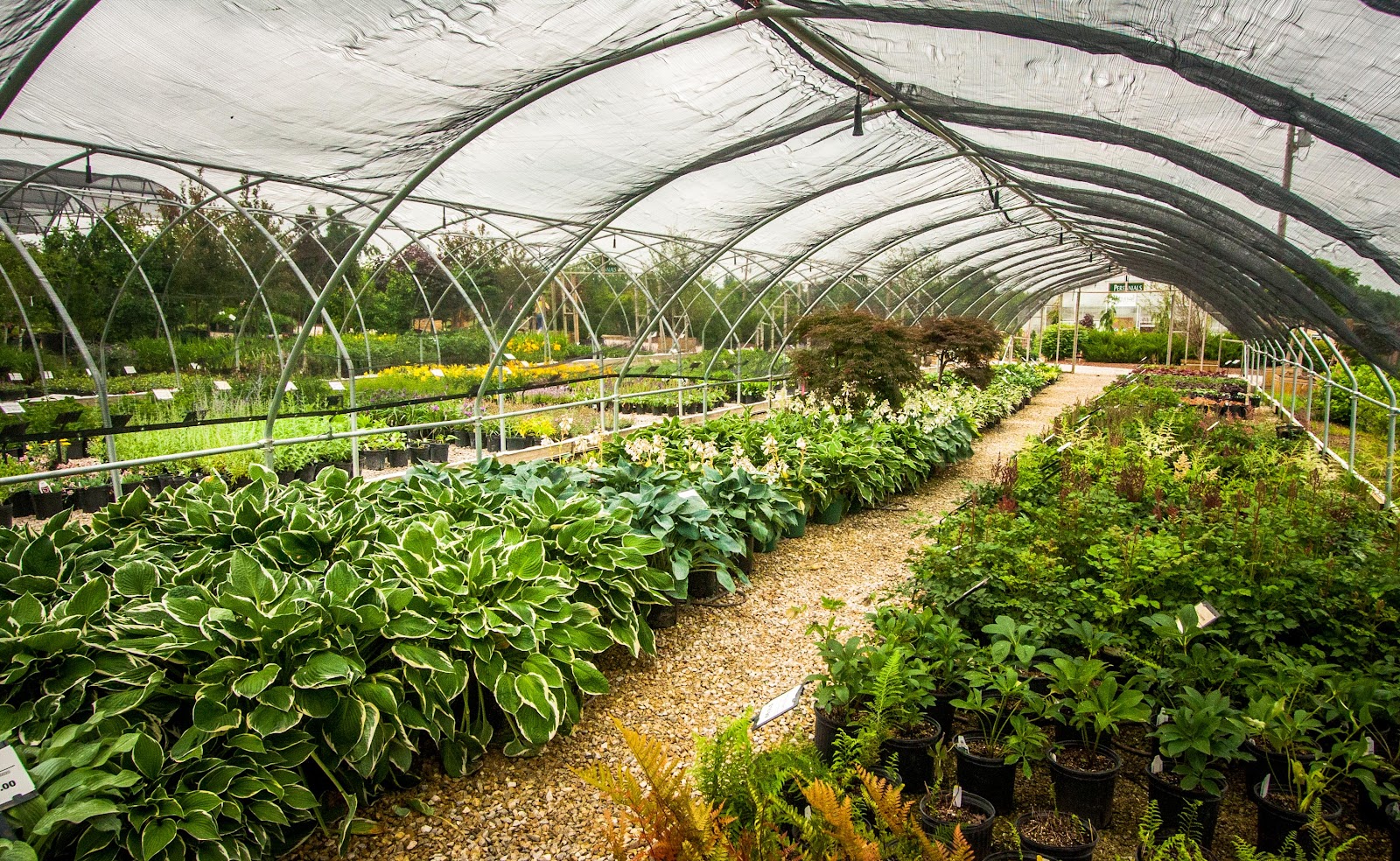 Superior Garden Center