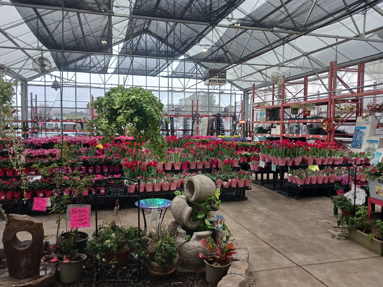 Sutherlands Home and Garden Club
