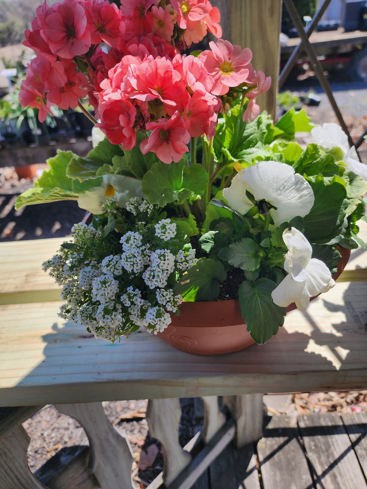 Sycamore Springs Home and Garden