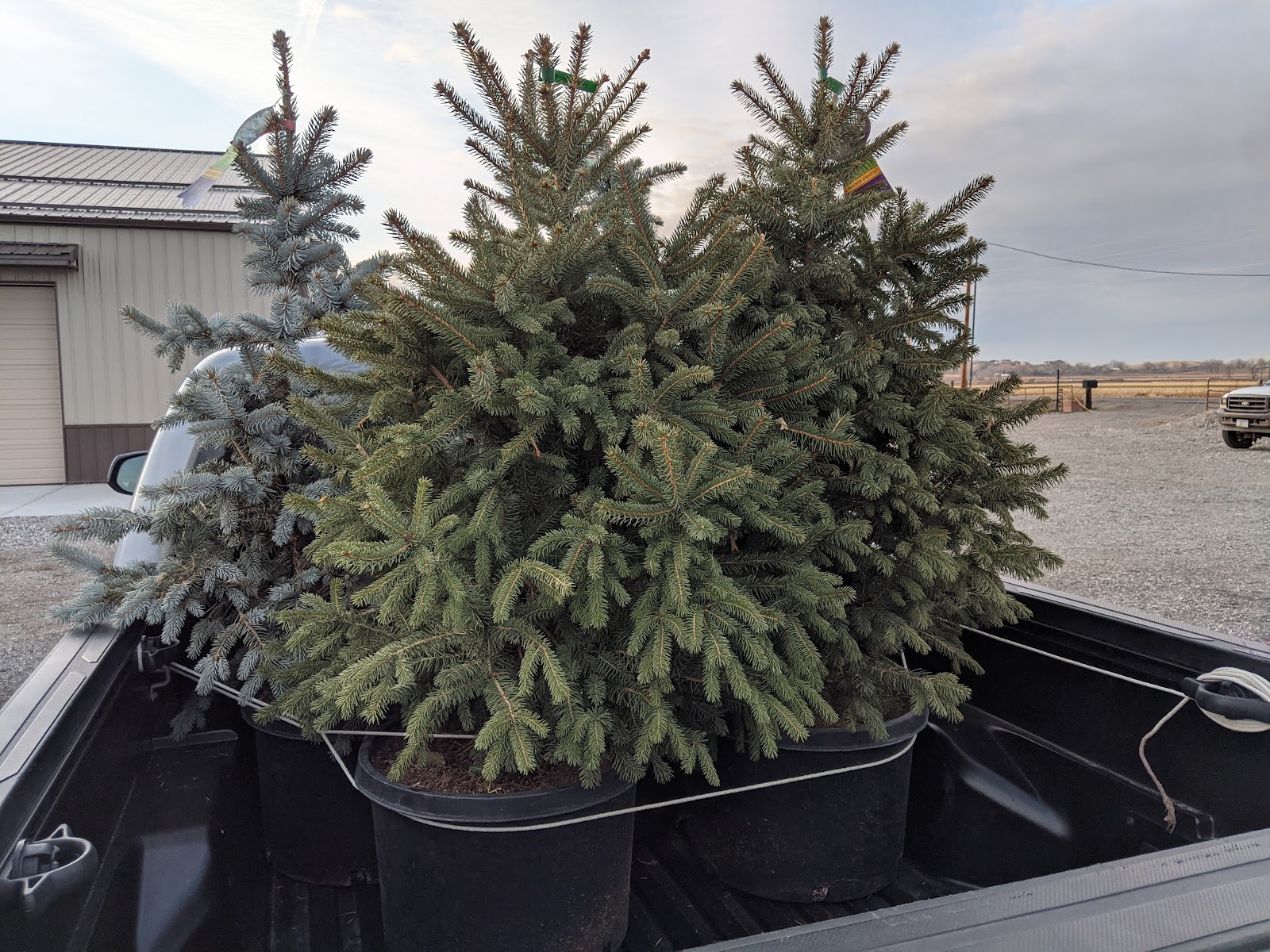 Sylvan Nursery & Landscaping