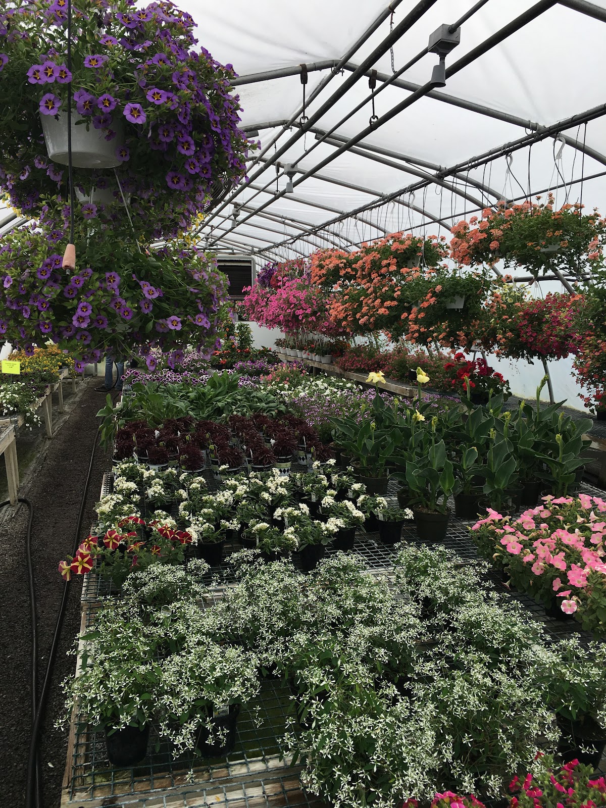 T & C Greenhouse
