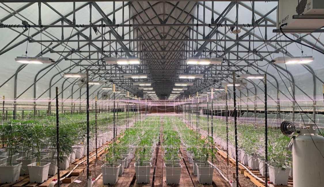 T3 Greenhouse Supply