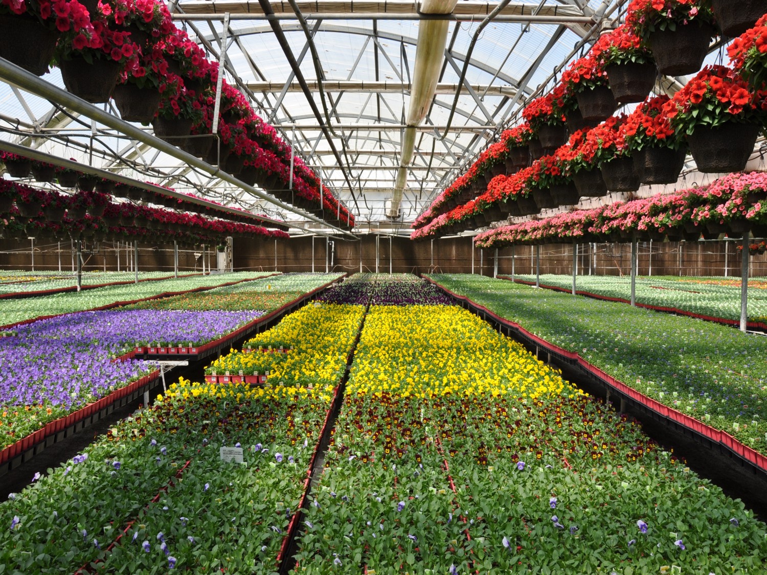Tagawa Greenhouse Ent, LLC