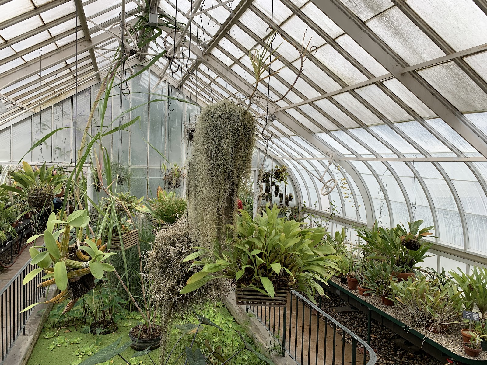 Talcott Greenhouse