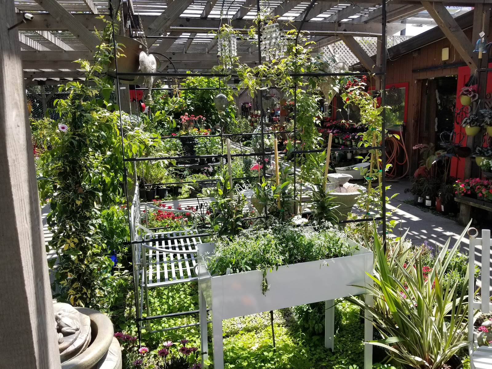 Talini's Nursery and Garden Center